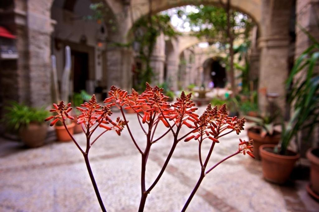 Hotel Balneario De Sierra Alhamilla Pechina المظهر الخارجي الصورة
